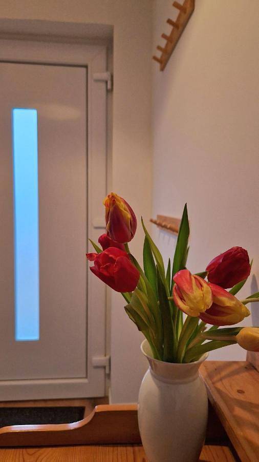 Ferienwohnung für 5 Personen in Buchholz in der Nordheide (Stadt) - 3