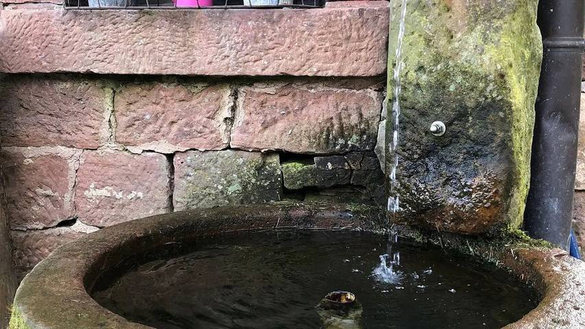 Hütte für 4 Personen, mit Garten im Odenwald - 3