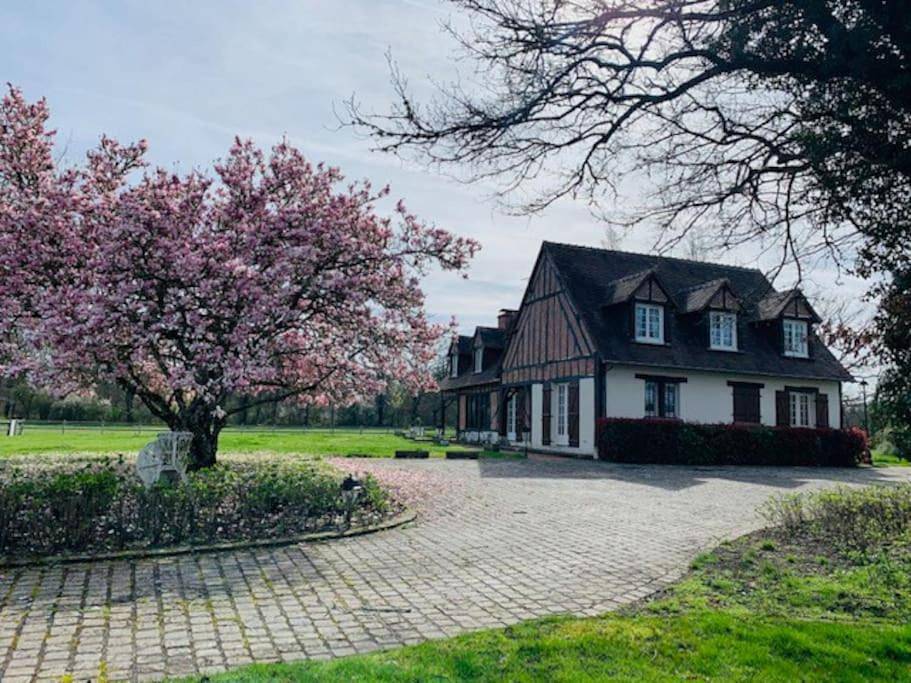 Six-Bedroom House in La Ferté-Imbault, Sologne