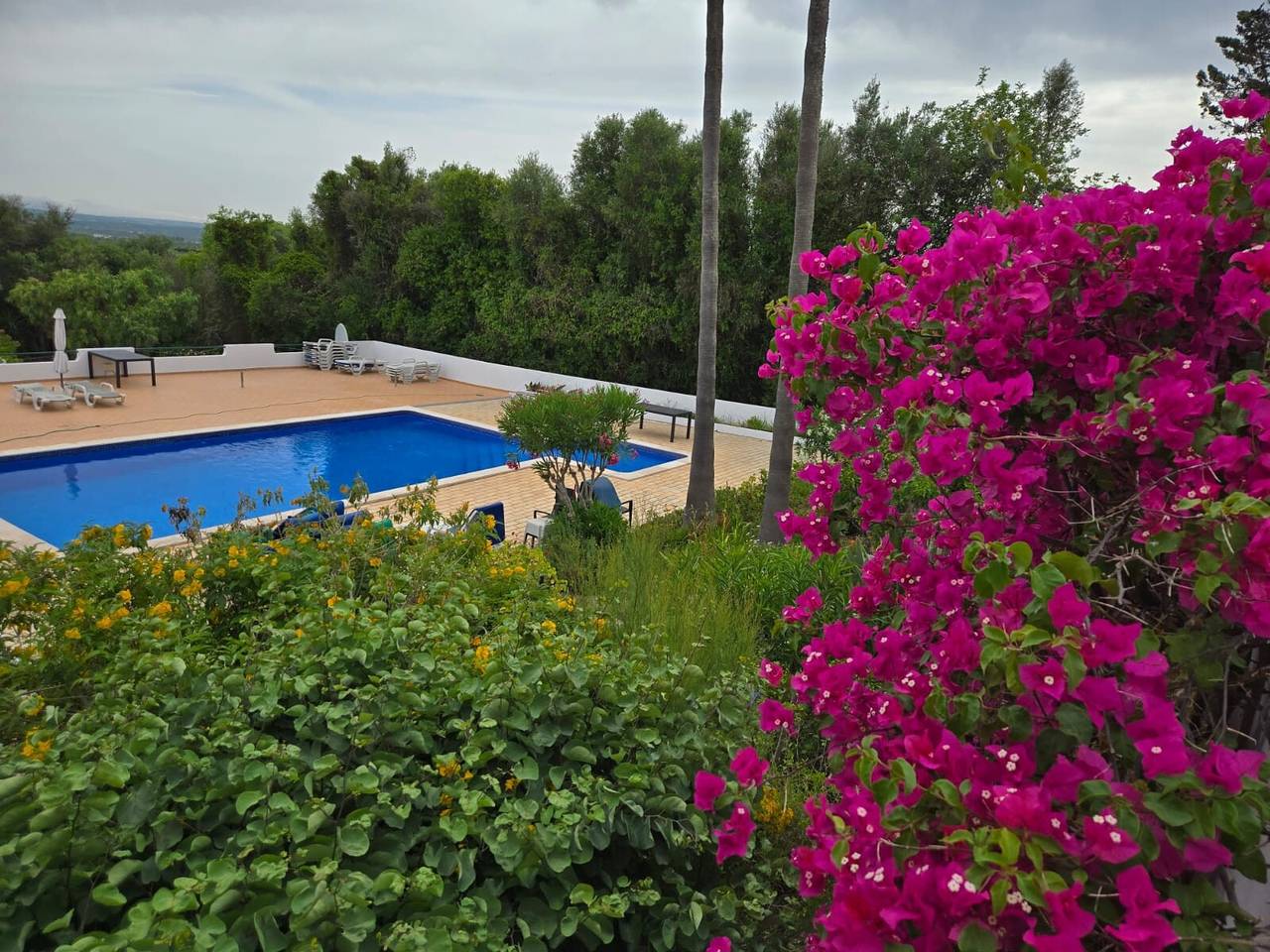 Apartamento inteiro, Apartamento 'One Bedroom 1' com Piscina Partilhada, Wi-Fi e Ar Condicionado in São Bartolomeu de Messines, Distrito de Faro