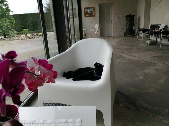 Chambre d’hôte pour 3 personnes, avec jardin et vue à Coni - 3