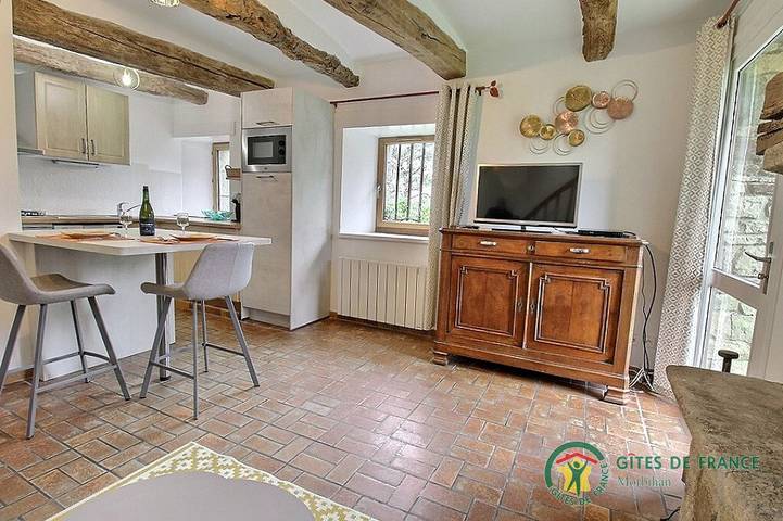 Gîte pour 2 personnes, avec terrasse et jardin, animaux acceptés à Locoal-Mendon - 4