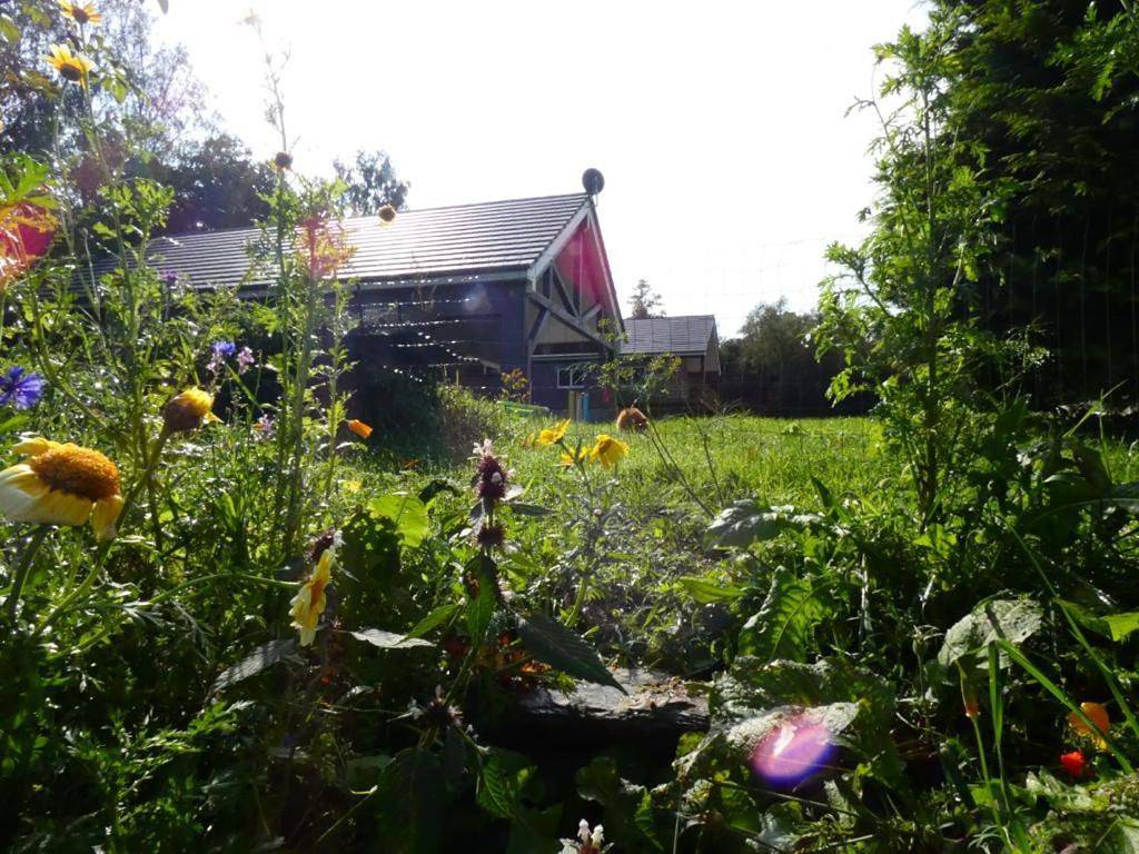 Chalet am Weiher in St. Vith, Région de Liège