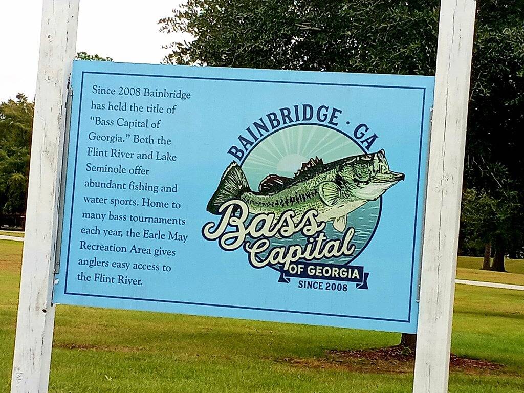 Lake Seminole Cabin on Spring Creek Channel - Covered Dock in Georgia
