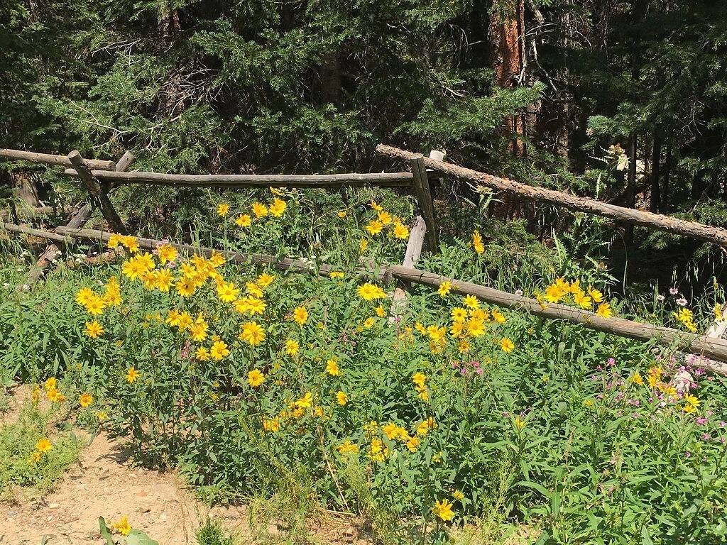 The Fox Den is the perfect cabin for a couples get away near Breckenridge Co. in Park County