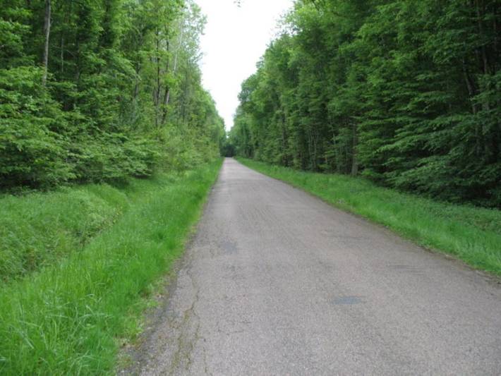 Chambre d’hôte pour 6 personnes, avec terrasse, adapté aux familles dans Yonne - 3
