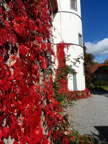 Ferienhaus für 2 Personen in Thüringische Rhön, Thüringen, Bild 3