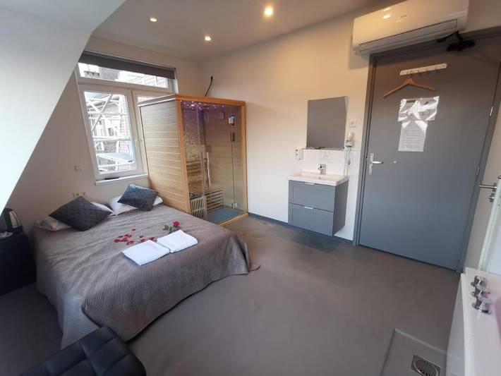 Hôtel pour 2 personnes, avec jacuzzi ainsi que terrasse et sauna, animaux acceptés à Utrecht - 4