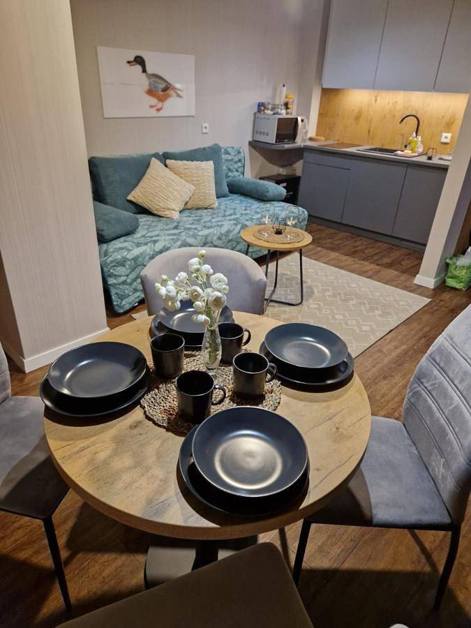 Apartament wakacyjny dla 4 osób, z jacuzzi i sauna oraz taras w Porąbka