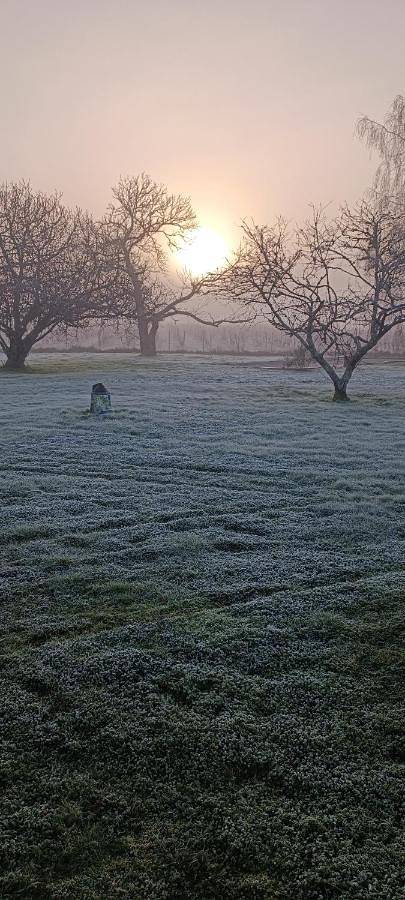 Location de vacances pour 4 personnes, avec vue et jardin à Jau-Dignac-et-Loirac - 2