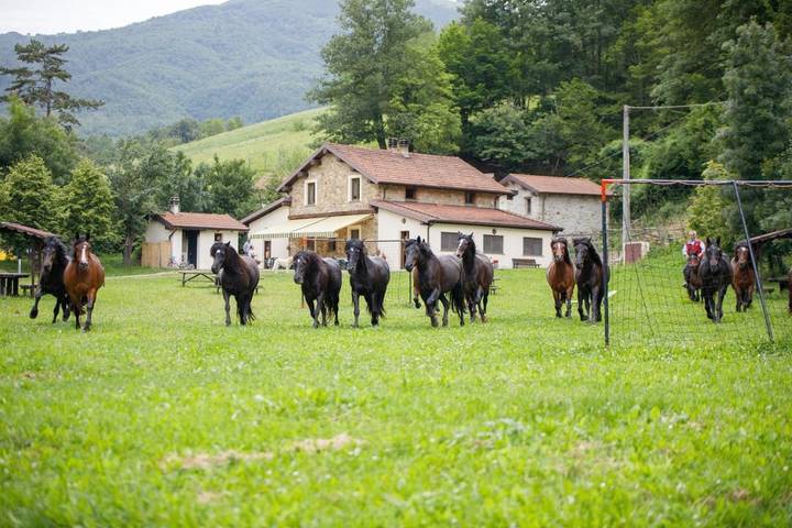 Casa vacanza per 2 persone, con Giardino a Bedonia
