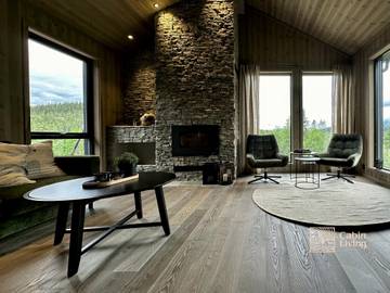 Cottage for 8 Guests in Hjartdal, Vestfold og Telemark, Picture 1
