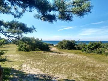 Ferienhaus für 6 Personen in Vejby, Gribskov, Bild 3