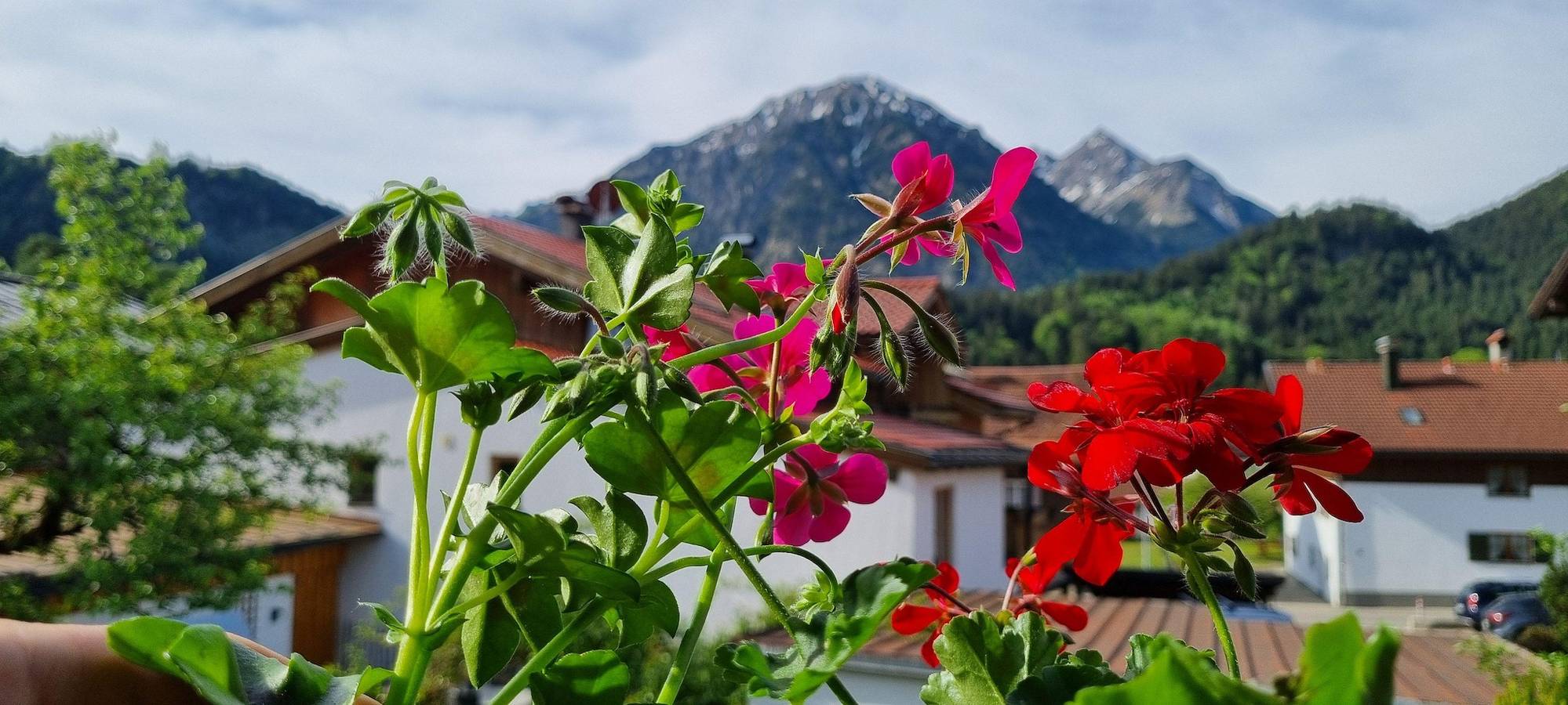 Ganze Ferienwohnung, Ferienwohnung in Bad Oberdorf, Bad Hindelang