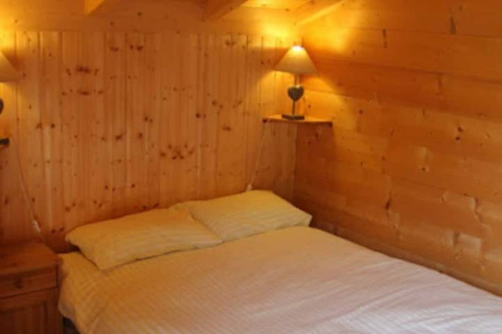 Gîte pour 10 personnes, avec balcon et jardin, animaux acceptés à Bernex - 4