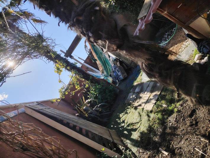 Gîte pour 2 personnes, avec terrasse et jardin à Bénesse-Maremne - 2