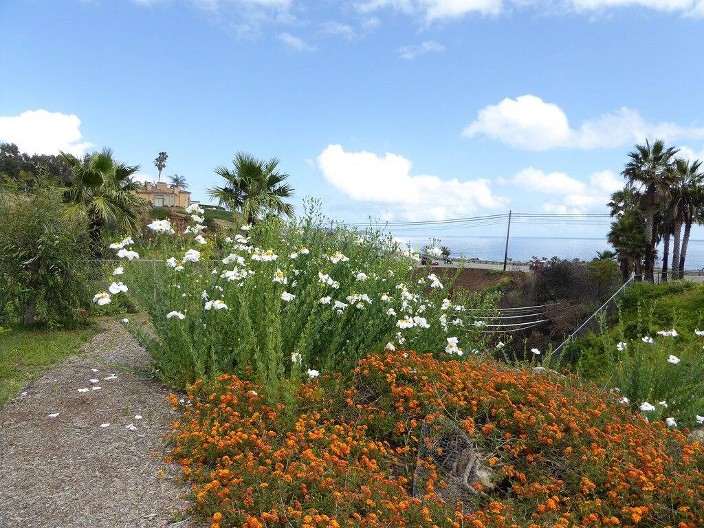 Unglaublicher Wildwasserozeanblick in Malibu, Los Angeles County