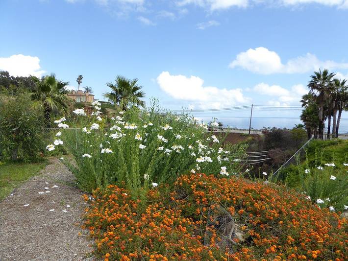 Villa pour 4 personnes, avec jardin ainsi que jacuzzi et balcon à Malibu - 4
