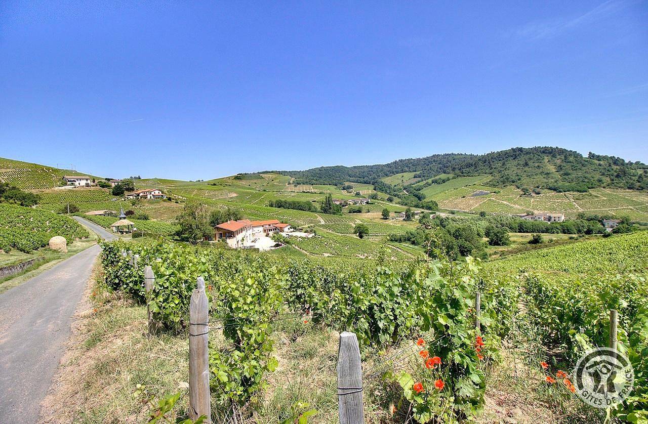 Ganze Ferienwohnung, Ferienwohnung für 28 Personen mit Terrasse in Fleurie, Villefranche-sur-Saône und Umgebung