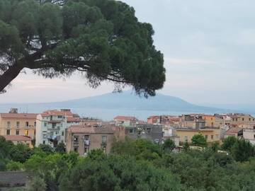Chambre d’hôte pour 4 personnes, avec piscine ainsi que vue et jardin, animaux acceptés à Sorrento