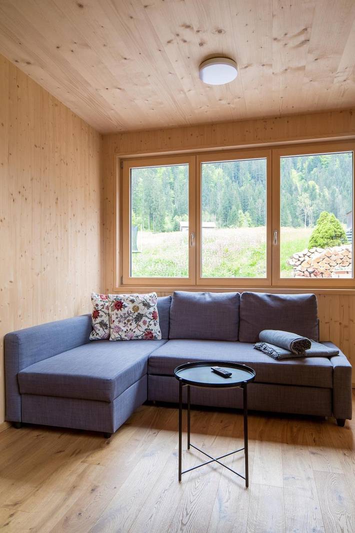 Ganze Wohnung, Ferienwohnung 'Bergreich 1' mit Bergblick, Balkon und WLAN in Bregenzerwald (Vorarlberg), Schoppernau