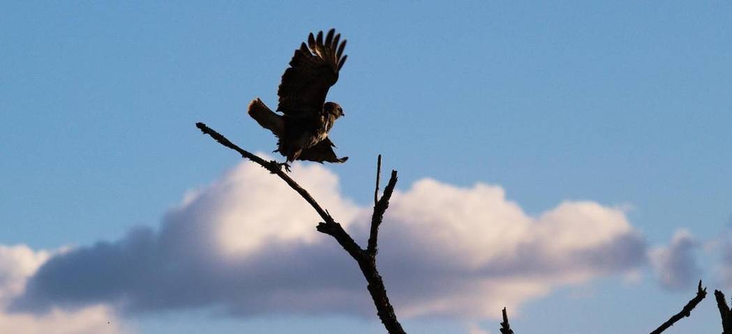 Location de vacances pour 11 personnes, avec vue et jardin à Bétaille - 3