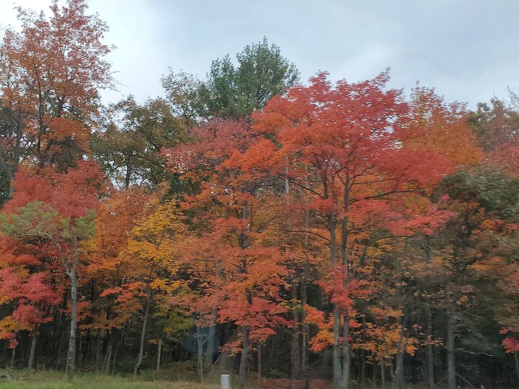 Harmony in the Woods in der Nähe von 2 Skigebieten
3 Schlafzimmer 2 Bäder Kabine in Hickory Run State Park
