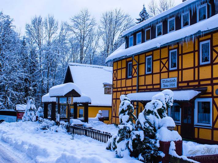 Ferienhaus für 45 Personen, mit Balkon und Garten, kinderfreundlich in Bad Sachsa - 3