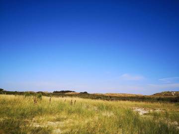 Ferieudlejning til 8 Personer i Sønderho, Fanø, Billede 4