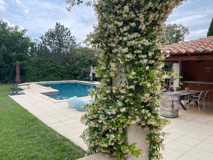 Location de vacances pour 4 personnes, avec piscine ainsi que vue et jardin, animaux acceptés à Carpentras - 2