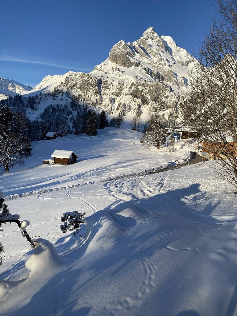 Ganze Ferienwohnung, Im Hüttenberg Nr. 37 - Studio für 2 Personen in Glarus Süd, Kanton Glarus