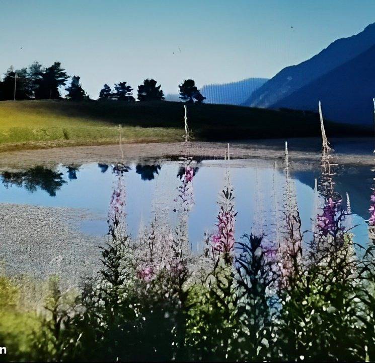 Maison campagne Le Rocher 8/9 pers. in Saint-Bonnet-en-Champsaur, Parc national des Écrins