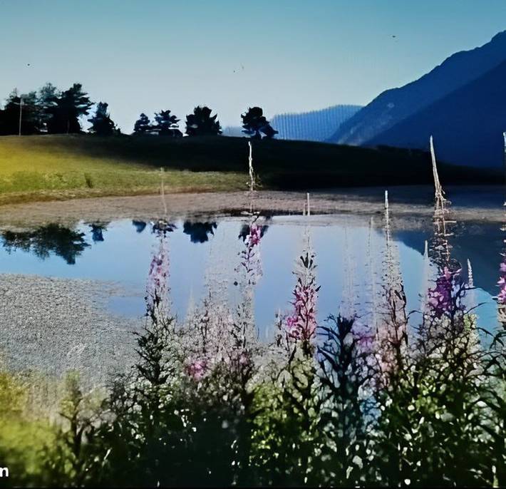 Gîte pour 10 personnes, avec jardin et terrasse, animaux acceptés à Saint-Bonnet-en-Champsaur - 2
