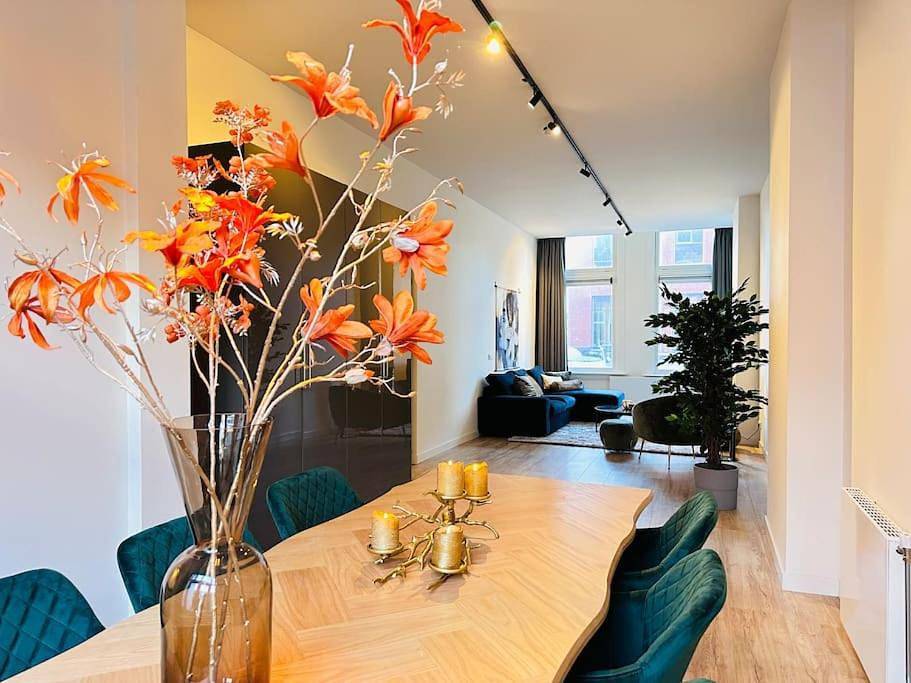 Geheel appartement, Sofia's Mansion in Breda, Noord-Brabant
