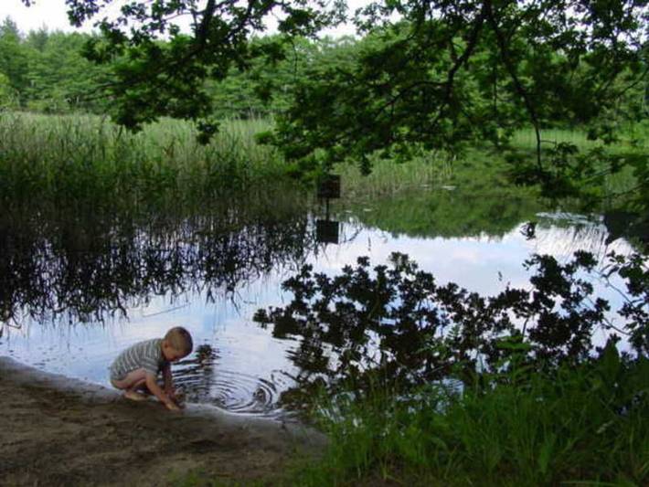 Hotel für 2 Personen, mit Terrasse in Mirow - 4