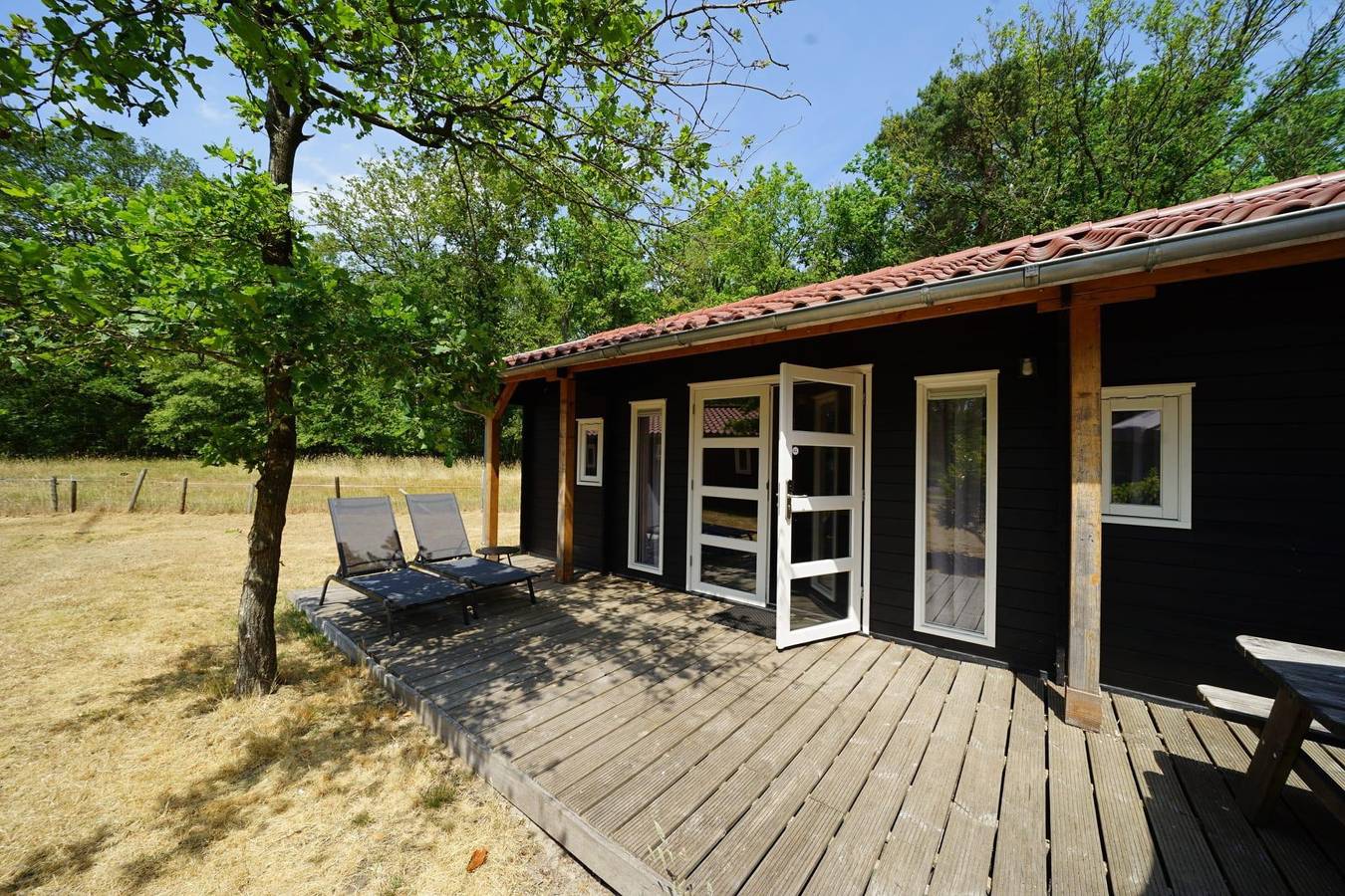 Europarcs Ruinen — Drentse kap 4 in Ruinen, Nationalpark Dwingelderveld