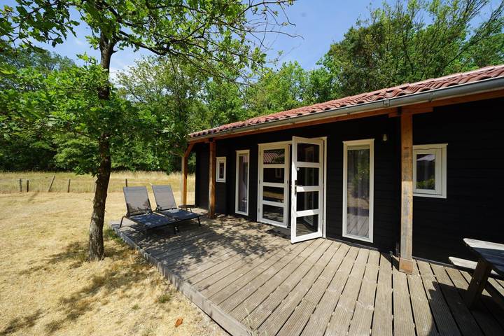 Chalet voor 4 personen, met balkon/terras en terras in Drenthe