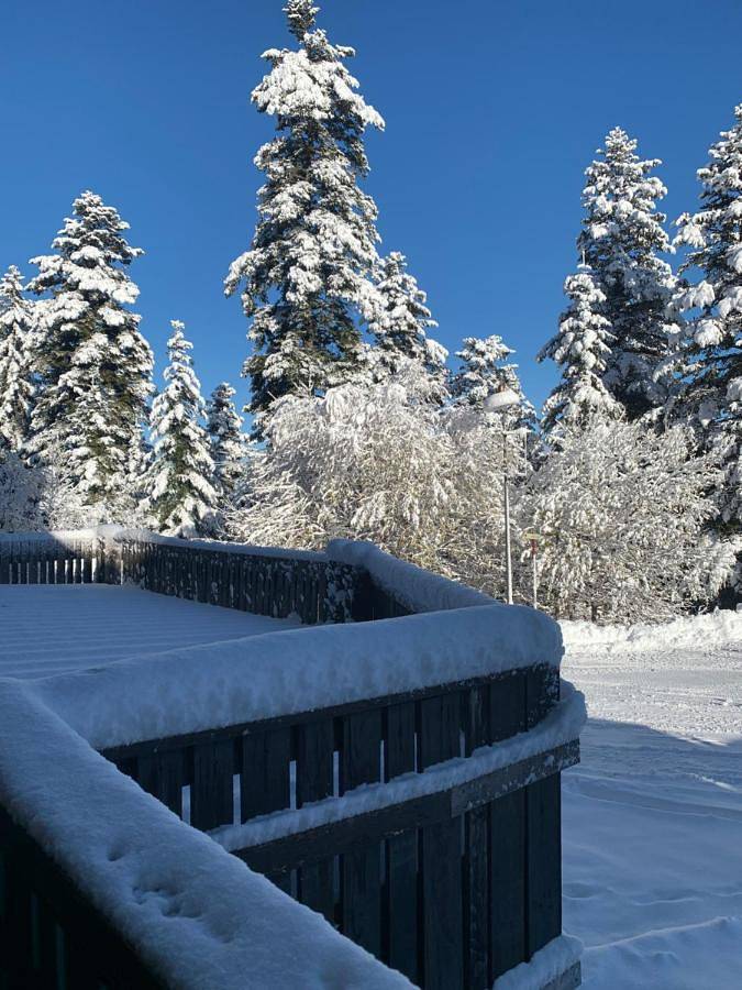 Gîte pour 4 personnes, avec balcon et vue dans Chabanon Selonnet - 2