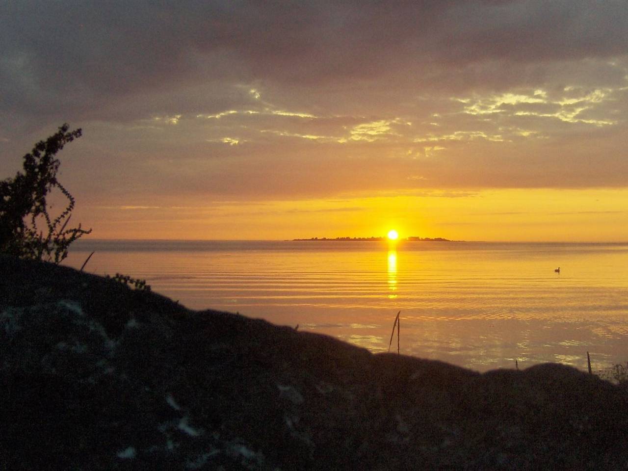 "Eddy" - 50m from the sea in Fejø, Schwedische Ostsee