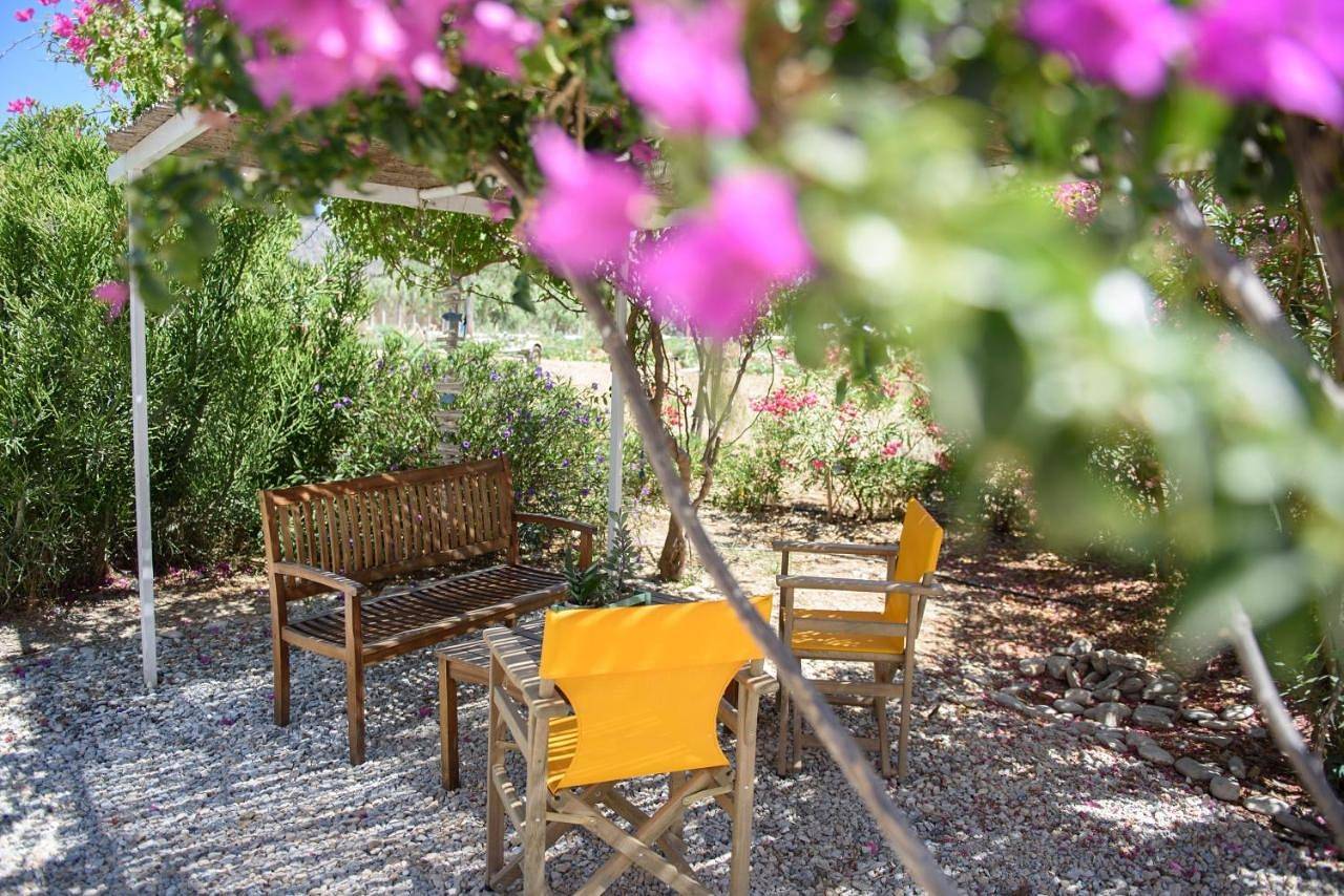 Porto Katapola Pension in Katapola, Amorgos