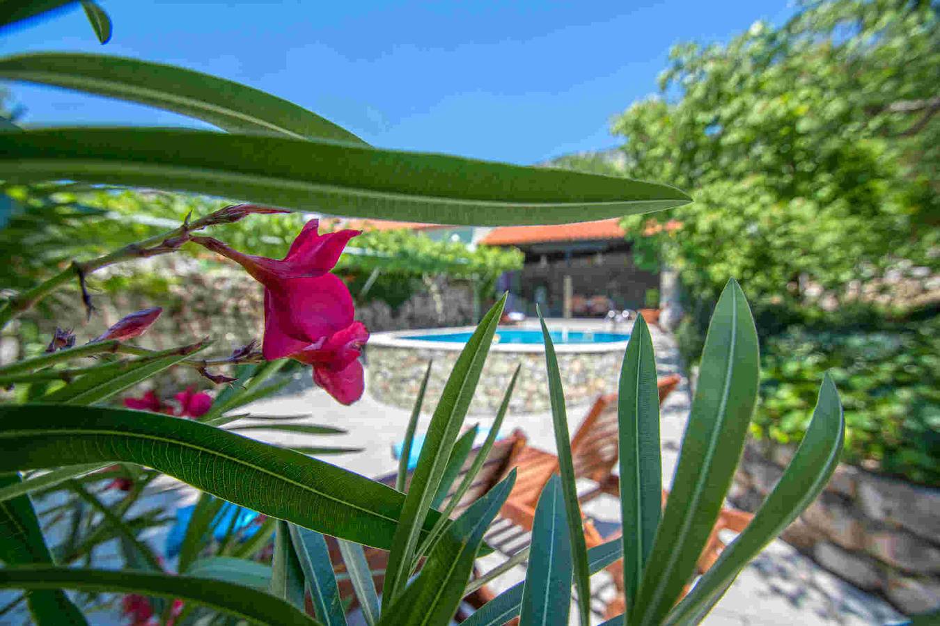 Holiday house for 6 persons approx. 112 qm in Grižane, Kvarner Bay (Crikvenica and the surrounding area) in Tribalj, Primorje-Gorski Kotar