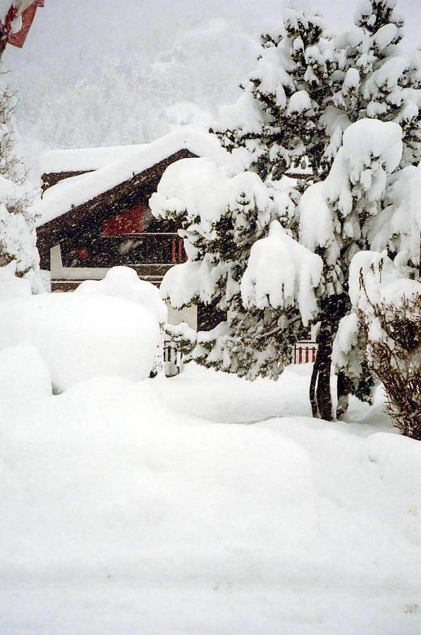 Hôtel pour 2 personnes, avec jardin et vue, animaux acceptés à Vernante - 4