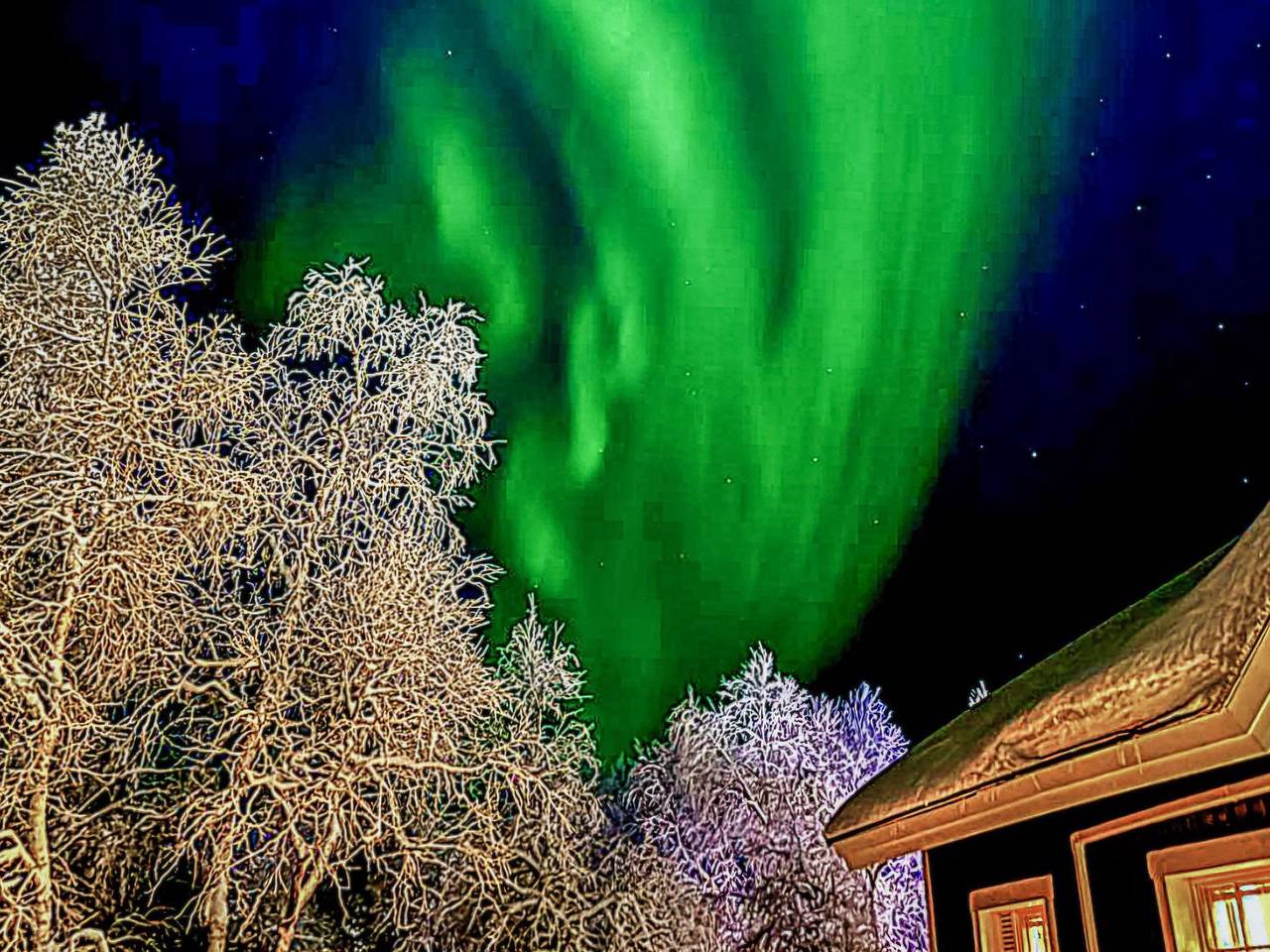 Tunturikuksa in Saariselka, Saariselkä