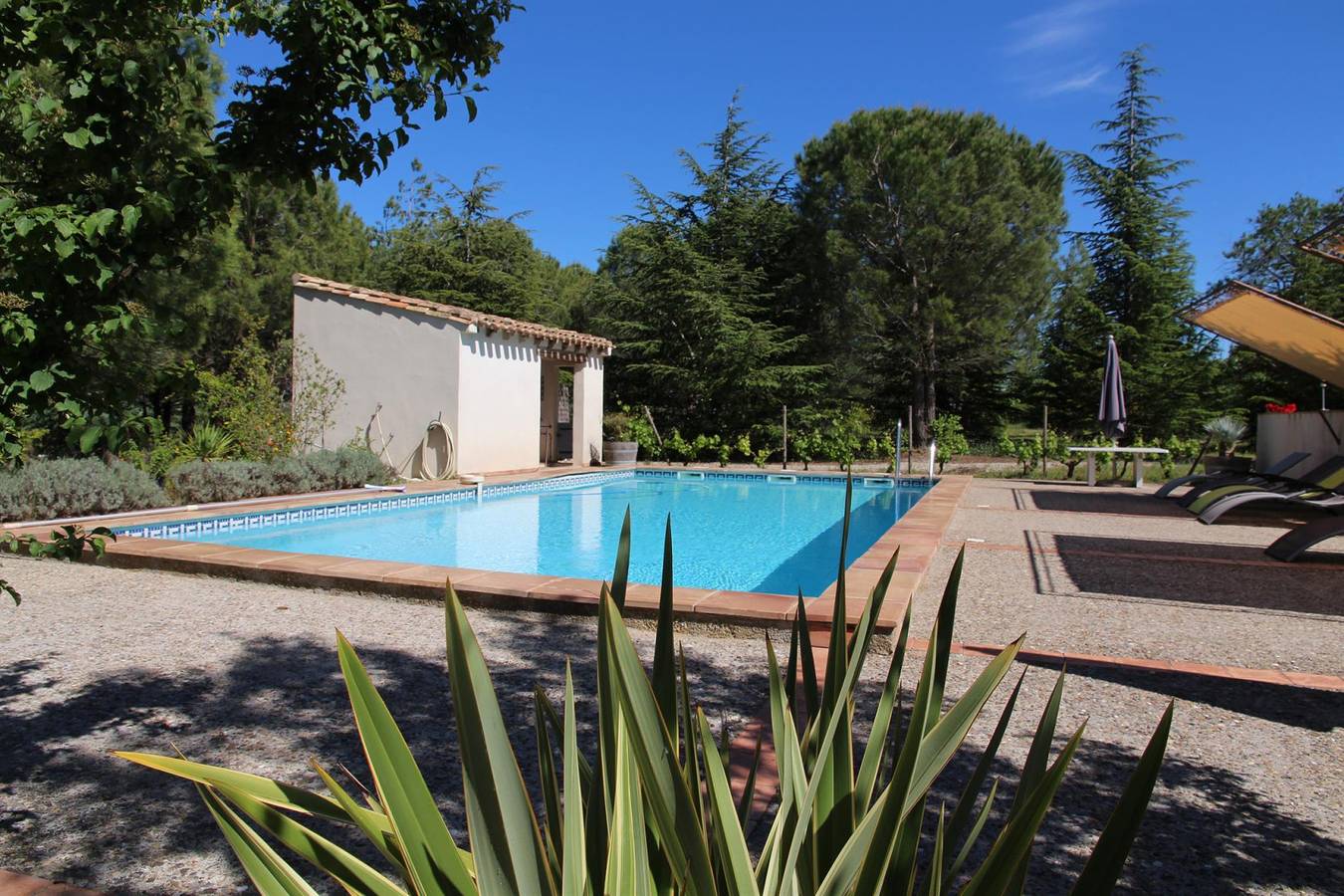La Treille in Cavanac, Région de Carcassonne