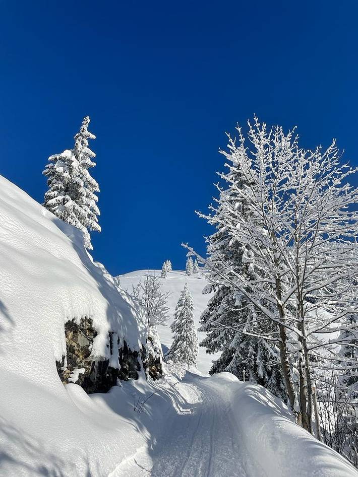 Ferienwohnung für 2 Personen, kinderfreundlich in Alpenland Tegernsee Schliersee - 3