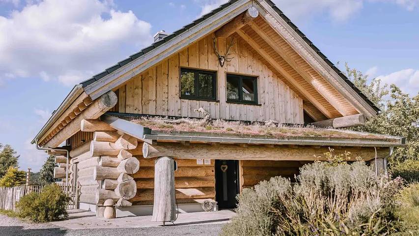 Ferienhaus für 6 Personen, mit Sauna und Balkon sowie Garten und Whirlpool, mit Haustier - 1