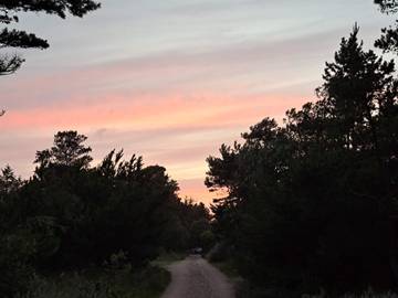 Ferienhaus für 5 Personen in Vejers Strand, Dänemark an der Nordsee, Bild 4