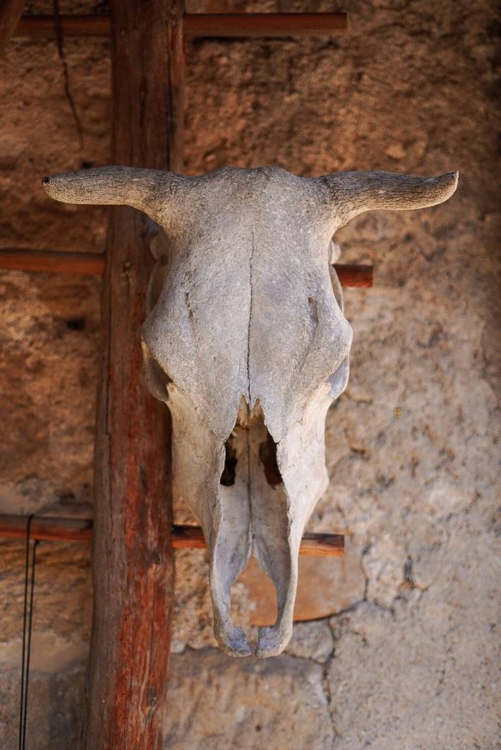 Gîte pour 4 personnes, avec terrasse et jardin à Saint-Jean-du-Bruel - 3