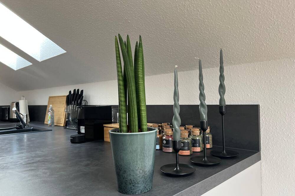 Ganze Wohnung, Mama-Apartments - 125qm Deluxe Apartment zum Wohlfühlen mit Balkon und Parkplatz in Fulda, Rhön-Hessen