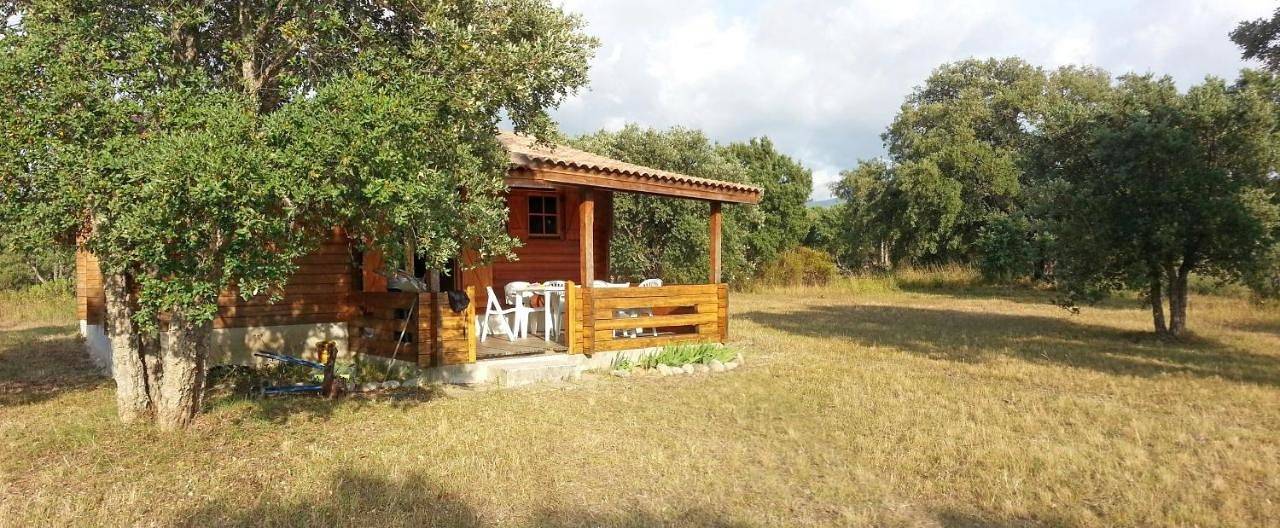 Chalet climatisé Porticcio Corse in Cauro, Région d'Ajaccio